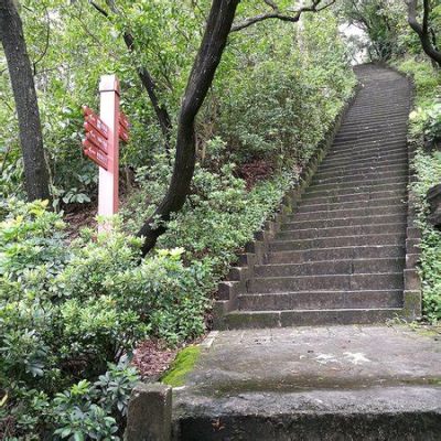  南山國家森林公園：綠意盎然，古樹參天！